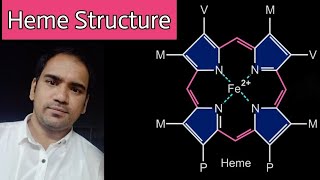 Heme  Structure  Porphyrin  types of porphyrins  bond between oxygen and iron [upl. by Nojid951]