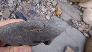 Rare fossils from Ravenscar [upl. by Dlonyar]