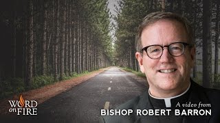 Bishop Barron on Morality Character and Relationships [upl. by Cleopatra]