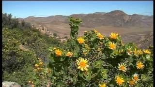 Rotel Tours Namaqualand [upl. by Sset807]