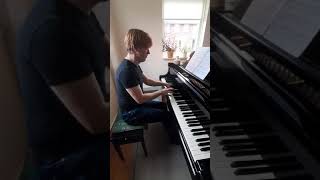 A Scriabin  Prelude op11 no6 in b minor [upl. by Einnob]