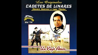 Un Viejo Amor  Los Cadetes de Linares [upl. by Nanette]