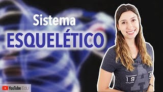 Sistema Esquelético 15 Introdução  Anatomia e etc [upl. by Samuel]