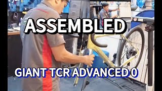 ASSEMBLED  2025 GIANT TCR ADVANCED 0  Specs Next Video [upl. by Crandale]