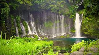 Serene Waterfall Sounds for Sleep 🌊  10 Hours of Natures White Noise [upl. by Beetner556]