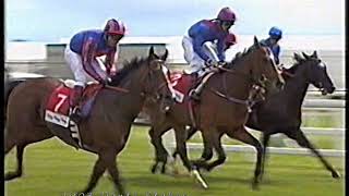 2003 Dante Stakes Magistretti Includes Replay [upl. by Noellyn]