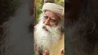 Rat Race Is For Rats Sadhguru competition fullpotential ratrace Humangenius possibilities [upl. by Fife]