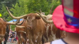 Thousands fill the streets to watch the Greeley Stampede Parade [upl. by Rolyt294]