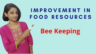 Bee Keeping  Improvement in Food Resources Class  9 Biology  CBSE  NCERT [upl. by Mignonne822]