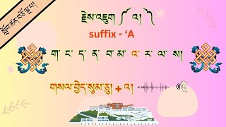 རྗེས་འཇུག ༼ འ། ༽ suffix   ‘A  Part  15 [upl. by Allenad]