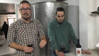 Frontonio The garage wines para Club Vignerons  BODEBOCA [upl. by Alphonsine106]