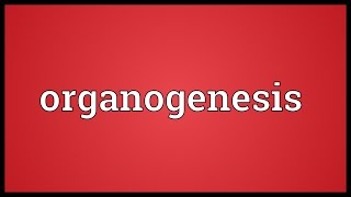 Organogenesis Meaning [upl. by Rich367]