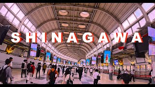 SHINAGAWA STATION PASSING shinagawa tokyo travel japan 2024 [upl. by Glanti]