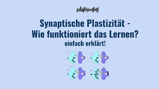 Synaptische Plastizität einfach erklärt  Definition  Kurzzeit amp Langzeitlernen  LTP Amboss [upl. by Eellek]