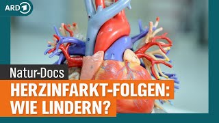 HerzinfarktFolgen lindern Atemtherapie Ernährung und Bewegung  NDR [upl. by Eelan]