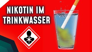 Umweltgift Zigarettenstummel  Nikotin im Trinkwasser  Breaking Lab [upl. by Irem191]