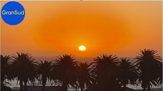 Swakopmund 2o24  Namibia 🇳🇦  Traumziel der Deutschen zwischen Palmen und Wüste am SüdAtlantik [upl. by Enovahs77]