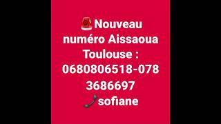 Aissaoua Toulouse de mostaganem  0680806518  0783686697 [upl. by Ayahsal187]