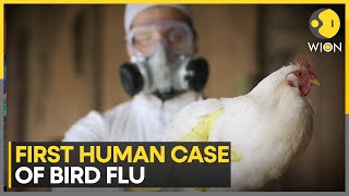 Mexico WHO confirms worlds first human bird flu death  Latest News  WION [upl. by Araid729]