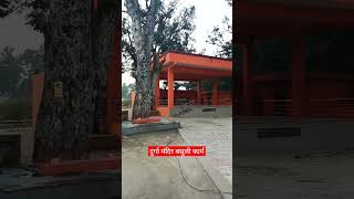 Durga mandir basuli farm nichlaul maharajganj uttar pradesh shorts viralshorts trending [upl. by Sirron]