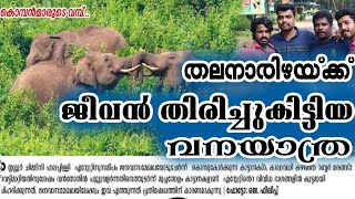 🐘EP1 Elephant Attack At Chimmony Wildlife Sanctuary  Barely Escaped The Elephant AttackSreevlogs [upl. by Ayamat]