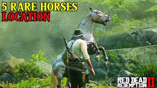 5 Rare fastest horses with status amp Locations  Red Dead redemption 2  red openworldoff horses [upl. by Kamaria941]