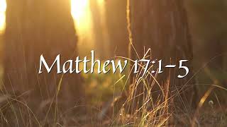 Daily Bible Reading for 11624  Matthew 1715 [upl. by Doownelg]