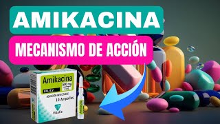 💊 Amikacina Cuál es el Mecanismo de Acción de Amikacina Cómo Actúa en el Cuerpo [upl. by Merce]