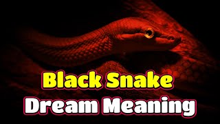 quotBLACK SNAKE quotInterpretation of the most dangerous dream you can see the dream of a black snake [upl. by Cornelia666]