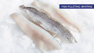 CYCSA Fish Filleting Demo Whiting [upl. by Ayanet801]