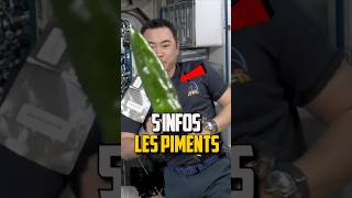 5 INFOS INSOLITES SUR LES PIMENTS  🌶️ [upl. by Oek]