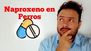 Naproxeno para perros ¿ Se lo puedo dar [upl. by Yentnuoc]