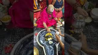 jay jay shiv bababaidyanath shortvideo [upl. by Anuska]