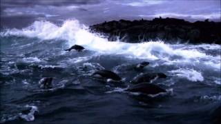 CocoRosie  Grey Oceans Videoclip HD [upl. by Adnala465]