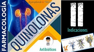 QUINOLONAS FLUOROQUINOLONAS y como evolucionaron completo PARTE 2 [upl. by Brinson]