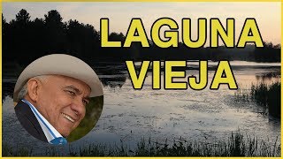 Laguna Vieja  Reynaldo Armas letra HD [upl. by Ahsila]