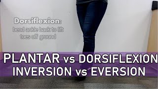 Plantar Flexion vs Dorsiflexion Inversion vs Eversion [upl. by Mikael]