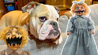 PRANKING my DOG with Abandoned ANNIE SPIRIT HALLOWEEN Animatronic Funny Dog LOLA Reacts [upl. by Rome142]