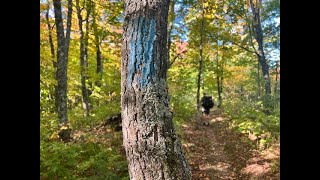 Superior Hiking Trail  September 2024  Days 5  6 [upl. by Nodearb]