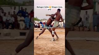 Bahagon Ucho 🆚 Shagon Auta prt2 sports africanknockout boxingevent africa dambe dambeabkartv [upl. by Elodie]