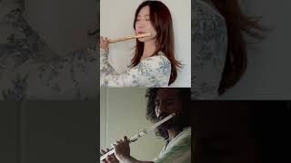 Señorita flute cover flute duet [upl. by Aelanej310]