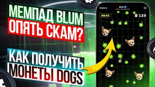 Как получить монеты Dogs в Blum Drop game очередной скам в стиле Hamster Kombat [upl. by Oirobil883]