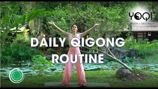 DAILY QIGONG ROUTINE [upl. by Onitrof]