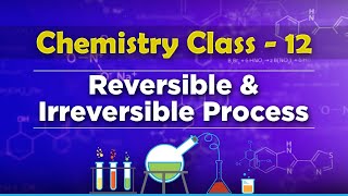 Reversible and Irreversible Process  Chemical Thermodynamics  Chemistry Class 12 [upl. by Ayekram]