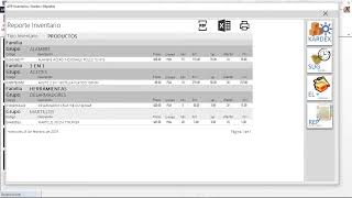 VentasPymes Kardex MS Access [upl. by Airelav]