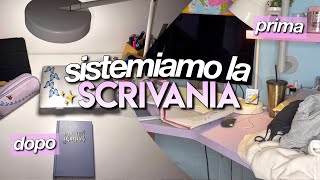 SISTEMIAMO LA SCRIVANIA  DECLUTTERING 📝💗 haul shein casa [upl. by Nedra]