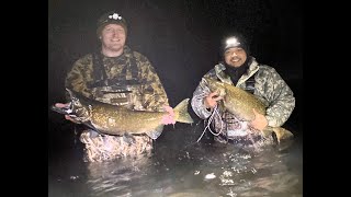 Catching Giant Salmon at Tippy Dam [upl. by Avla]