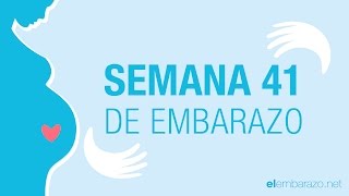 Semana 41 de embarazo  41 semanas de embarazo  El embarazo semana a semana [upl. by Dominica]