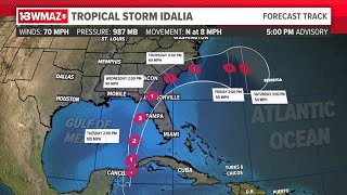 WATCH Tracking Tropical Storm Idalia Latest forecast Live QampA with Meteorologist Alex Forbes [upl. by Nonah]