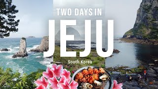 KOREA vlog  2 days in Jeju Island Exploring the island Haenyeo women divers trying raw abalone [upl. by Dinnage58]